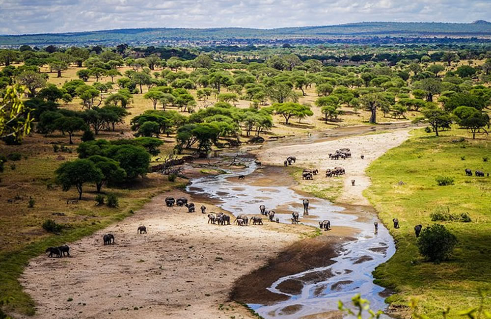 Tarangire Park